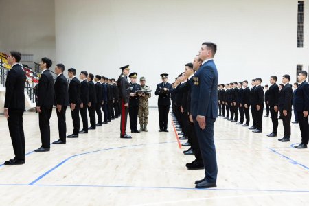 Vilayət Eyvazov Qəbələdə vətəndaş qəbulu və sıra baxışı keçirdi - VİDEO