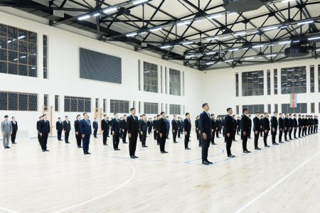 Vilayət Eyvazov Qəbələdə vətəndaş qəbulu və sıra baxışı keçirdi - VİDEO