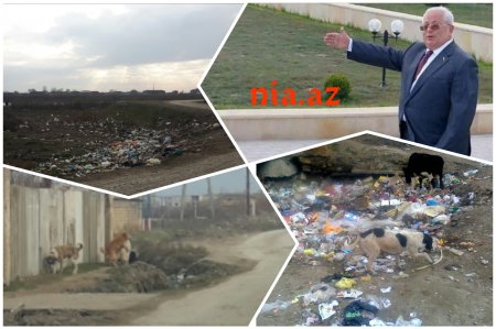 Korrupsiya və özbaşınalığın girdabında batan Neftçala- İTTİHAM