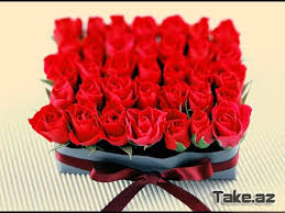 Bu gün dünyada SEVGİLİLƏR GÜNÜ qeyd olunur