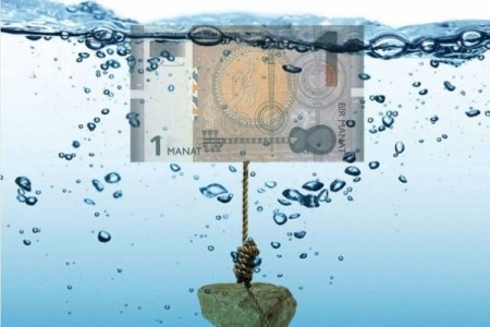 Birinci devalvasiyadan ötən 2 ildə nələr itirdik, nələr qazandıq...