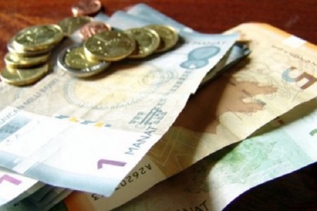 Manatın yenidən dirçəlmək şansı var, amma...