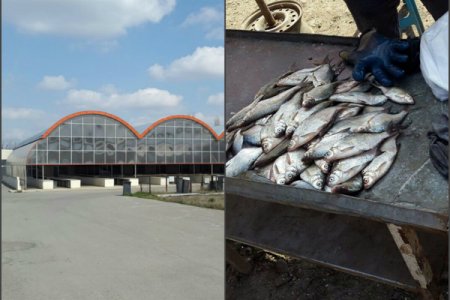 Tovuzda təzə bazar- köhnə bazar mübahisəsi - əhali yeni ticarət mərkəzinə niyə getmir...