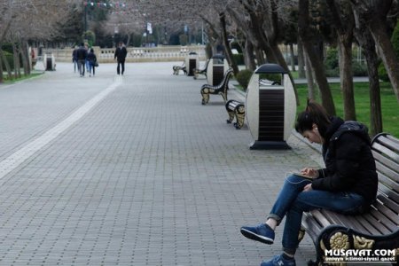 Bulvarda pulsuz internet var, sakinlərin isə xəbəri yox...