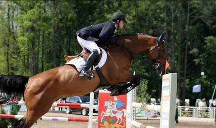  Binə Atçılıq Mərkəzindəki MÜƏMMA - VİP müştərilərin milyonluq atları... - Baş katibi qorxudan kimin adıdır? Binə Atçılıq Mərkəzindəki MÜƏMMA - VİP müştərilərin milyonluq atları... - Baş katibi qorxudan kimin adıdır?
