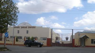 “Göygöl şərab zavodu”unda dövlətin milyonlarla vəsaiti necə MƏNİMSƏNİLİR