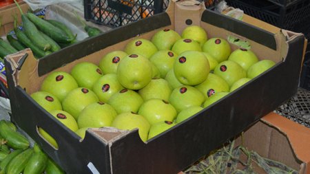 Quba alması Ermənistanda ARANI QARIŞDIRDI