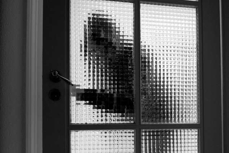 Bakıda və Gəncədə oğurluq edən şəxslər saxlanılıb Bakıda və Gəncədə oğurluq edən şəxslər saxlanılıb