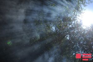 Bakıda 34, rayonlarda 38 dərəcə isti olacaq