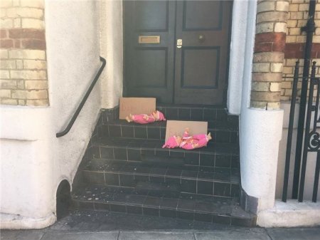 Ermənistanın Londondakı səfirliyi qarşısında etiraz aksiyası keçirilib