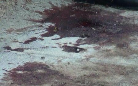 Hacıqabuldakı dəhşətdən İLK FOTOLAR - YENİLƏNİB