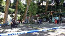 ​Palıd ağacı aşdı, 11 NƏFƏR ÖLDÜ