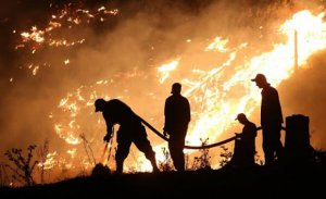 “Azərbaycanlılarla ermənilər həyatlarını riskə atıb alovla birgə döyüşür”