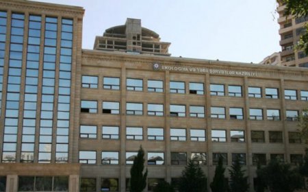 Ağacları məhv edən restoran sahibi cərimələndi..