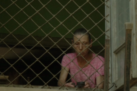 Bakıda DƏHŞƏT: Qadın bina evində 70 it saxlayır ...