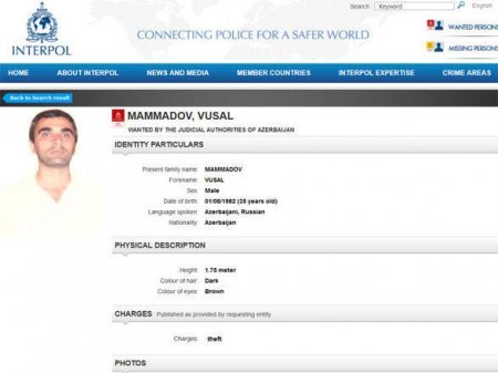 Vüsal Məmmədov beynəlxalq axtarışa verildi...