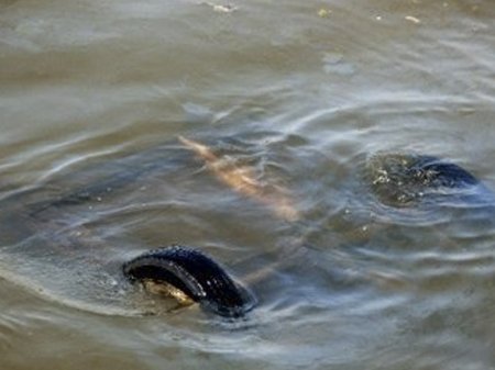 Bərdədə avtomobil kanala düşdü - 2 uşaq boğuldu..