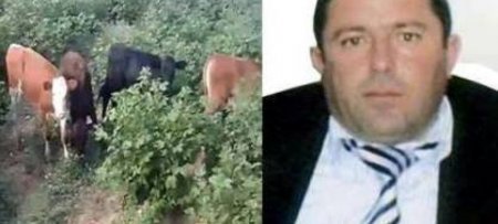 Heydər Əsədovun işçisi prezidentin pambıq siyasətinə qarşı - FOTO....