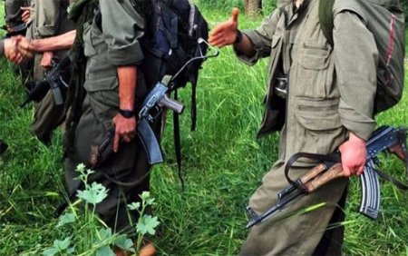 Azərbaycanda yaşayan kürdlər PKK-nı dəstəkləyirmi?