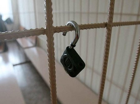 Bakıda xatirə lövhələrini oğurlayan dəstə tutuldu