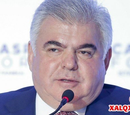 İsveçdə Ziya Məmmədovun işi bağlandı