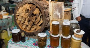 “Bal yarmarkası”na gətirilən 15 ton bal geri qaytarılıb