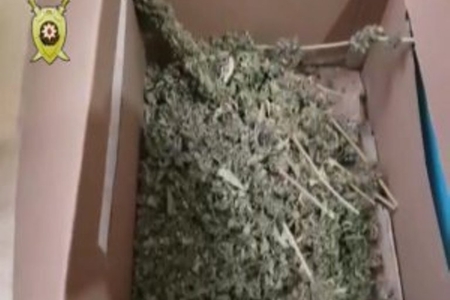 Nardaranda xeyli narkotik aşkarlandı