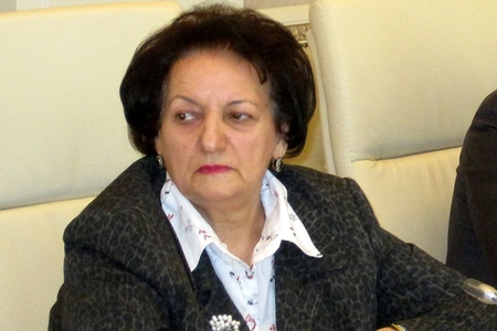 Azərbaycanda ombudsman müəmması - Elmira Süleymanovanı əvəz etməyə adam tapılmır