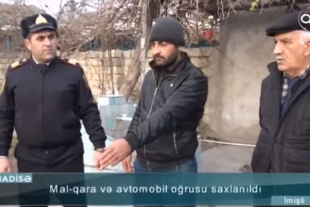 Beyləqanda mal-qara və avtomobil oğrusu saxlanılıb