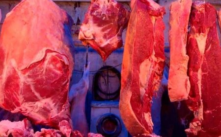 Mal əti ucuzlaşdı