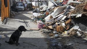 Fransada qasırğa nəticəsində 1 nəfər ölüb, 15-i xəsarət alıb Fransada qasırğa nəticəsində 1 nəfər ölüb, 15-i xəsarət alıb