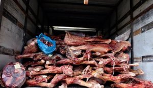 Ağsuda mənşəyi məlum olmayan bir ton ət aşkarlanıb