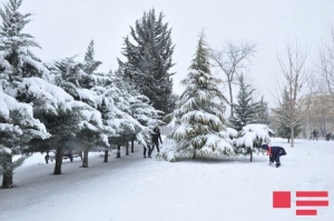 Будет дуть сильный ветер, температура снизится на 7 градусов, дороги покроются льдом - ПРЕДУПРЕЖДЕНИЕ 