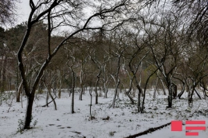 Прогноз погоды на завтра 