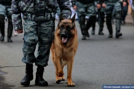 Rusiyada polis serjantı Azərbaycan vətəndaşını ölümdən xilas edib Rusiyada polis serjantı Azərbaycan vətəndaşını ölümdən xilas edib