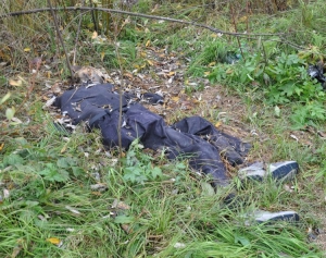 Житель Дашкесана умер в лесу Житель Дашкесана умер в лесу