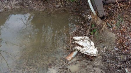 Tərtərdə mərmi tapıldı - Foto