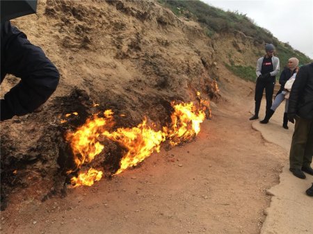 ƏMƏKDAŞIMIZ PREZİDENTİN TƏNQİD, ƏRƏBLƏRİNSƏ “İŞĞAL” ETDİYİ MƏKANDAN YAZIR - FOTOLAR+VİDEO