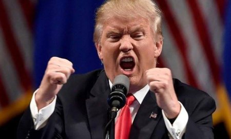 Tramp müayinədən keçdi: İlkin nəticə