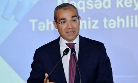 Mikayıl Cabbarov yeni səfirlə görüşüb