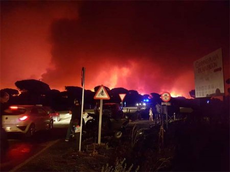 Portuqaliyada partlayış: 8 ölü, 36 yaralı