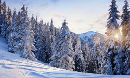 Havanın temperaturu aşağı enəcək, qar yağacaq