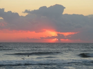 МЧС: Поиски пропавшего члена экипажа иранского грузового корабля продолжаются МЧС: Поиски пропавшего члена экипажа иранского грузового корабля продолжаются