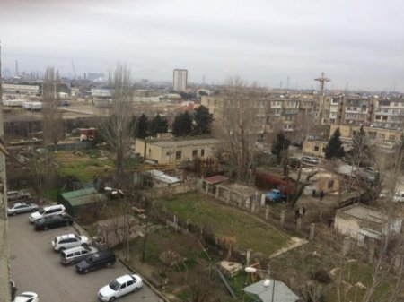 Xətai rayonunda yaşıllığı məhv edənlər kimdir? - FOTOLAR