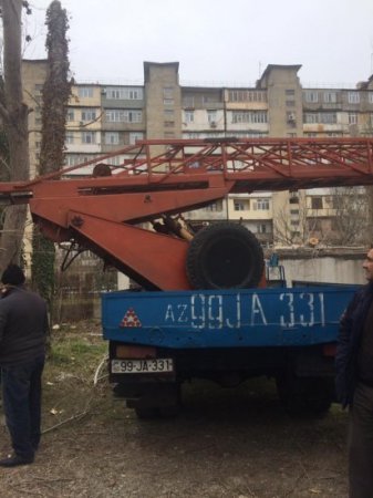 Xətai rayonunda yaşıllığı məhv edənlər kimdir? - FOTOLAR