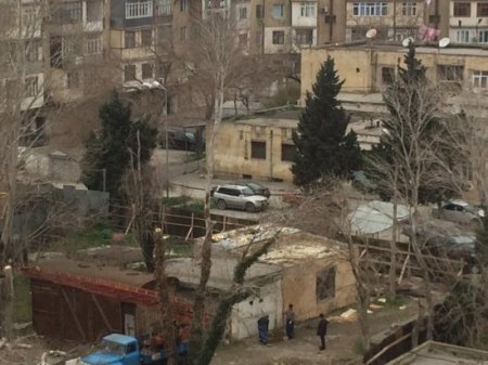 Xətai rayonunda yaşıllığı məhv edənlər kimdir? - FOTOLAR