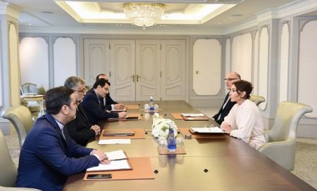 Mehriban Əliyeva İranın təşkilat sədri ilə görüşüb — YENİLƏNİB