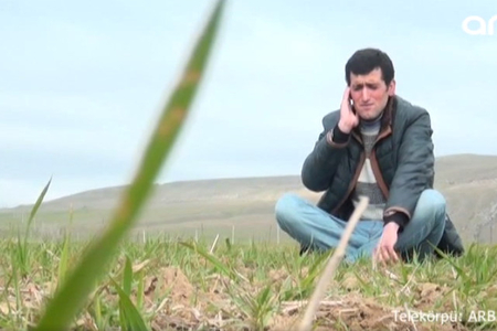 ​İnternetdə məşhurlaşan çoban: “Bilməzdim belə olar” – VİDEO