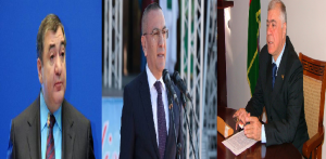 Alimpaşa Məmmədovun trolları icra başçısı müavini Aynur Abdullayevanın müdafiəsinə qalxdılar - FOTOLAR