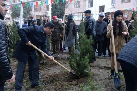Nəsimi rayonunda Novruz bayramı ərəfəsində növbəti “Abad həyət” sakinlərin istifadəsinə verildi